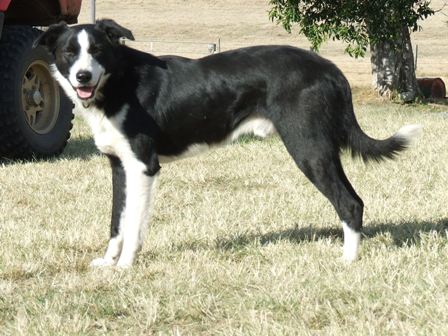 Billy